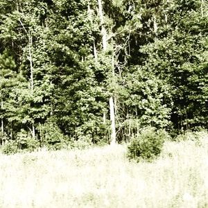 Meet your Posher, Emberly